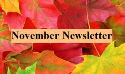 November Newsletter/ Hoja informativa de Noviembre